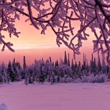 Схема вышивки «снежок)»