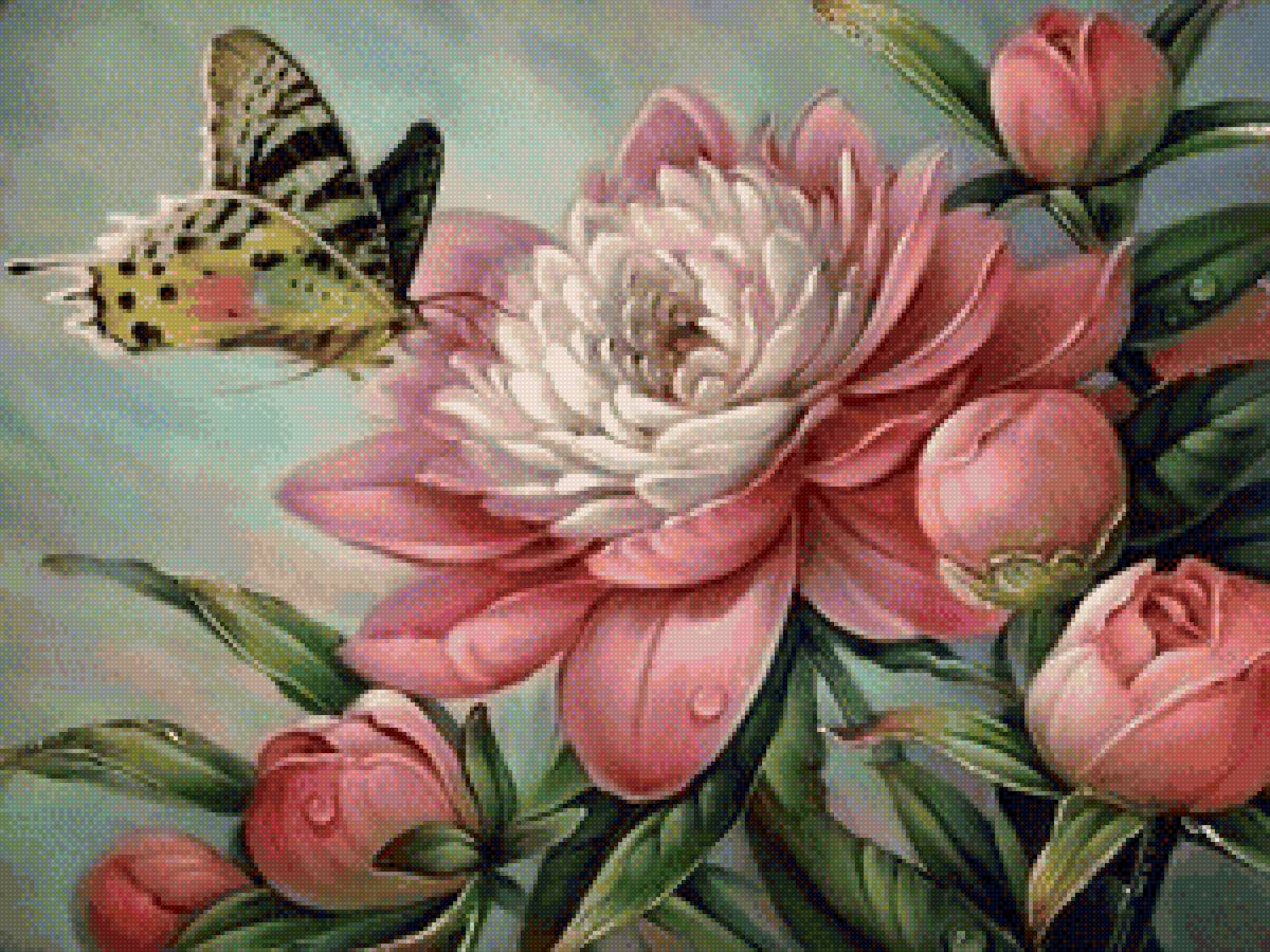 бабочка на пионе - цветы. бабочка. пион - предпросмотр
