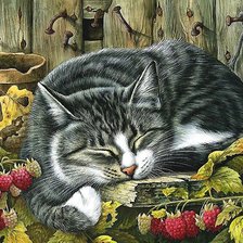 Схема вышивки «кот»