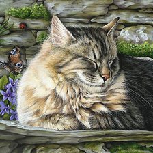 Схема вышивки «кот»