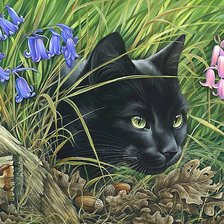 Схема вышивки «кот»