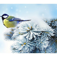 Схема вышивки «синичка»