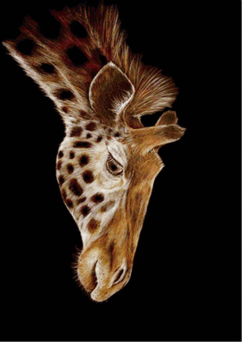 Жираф - животные, на черном, звери - предпросмотр