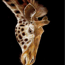 Схема вышивки «Жираф»