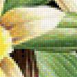 Предпросмотр схемы вышивки «Ваниль» (№1808602)