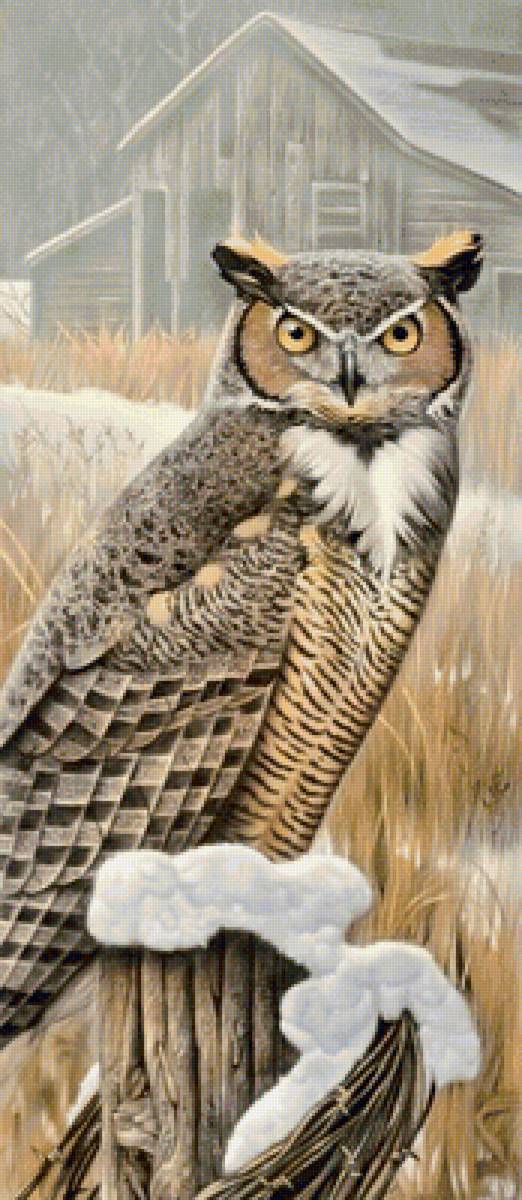 Филин - цветы - предпросмотр