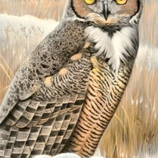 Схема вышивки «Филин»