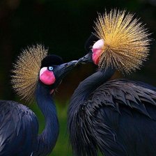 Схема вышивки «Любовь.»