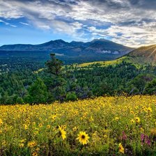 Схема вышивки «Пейзаж»