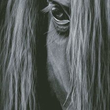 Схема вышивки «№1809041»