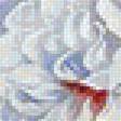 Предпросмотр схемы вышивки «pivonie» (№1809509)