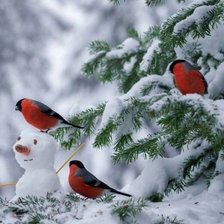 Схема вышивки «,,Снегири зимой»