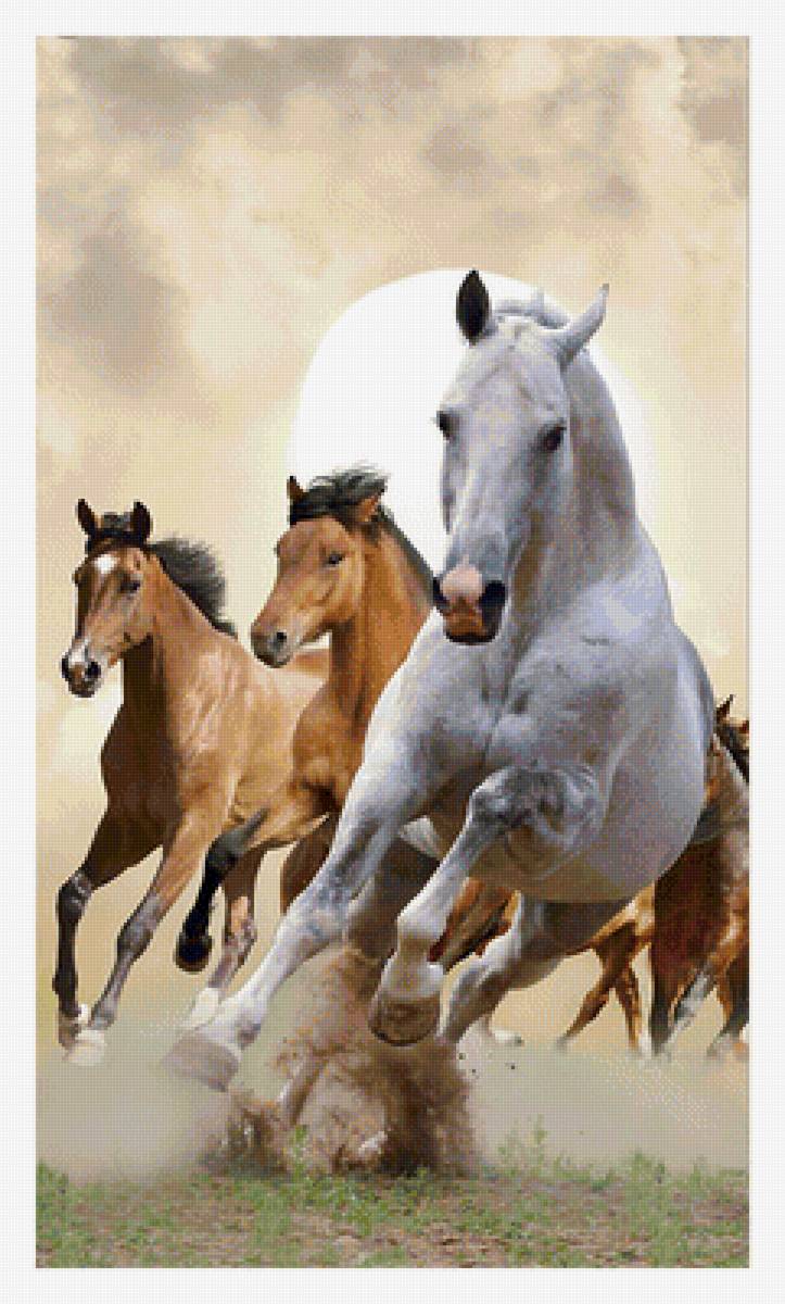 Серия "Кони" - животные, кони - предпросмотр