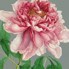 Схема вышивки «цветы»