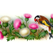 Схема вышивки «Чертополох и птица»