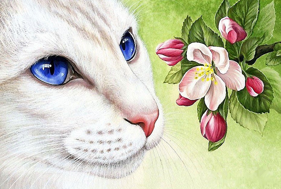 кот - кот - оригинал