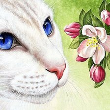 Схема вышивки «кот»