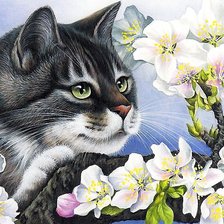 Схема вышивки «кот»