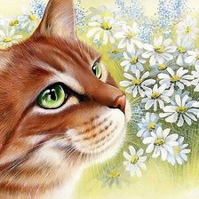 Схема вышивки «кот»