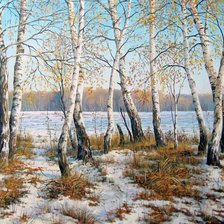 Схема вышивки «начало зимы»