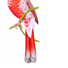 Схема вышивки «№1811108»