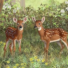 Схема вышивки «№1811121»