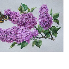 Схема вышивки «Бабочка и сирень»