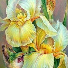 Без названия