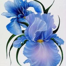 Схема вышивки «Без названия»