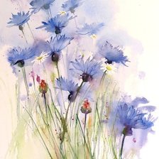 Васильки акварель