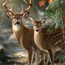 Схема вышивки «№1811969»