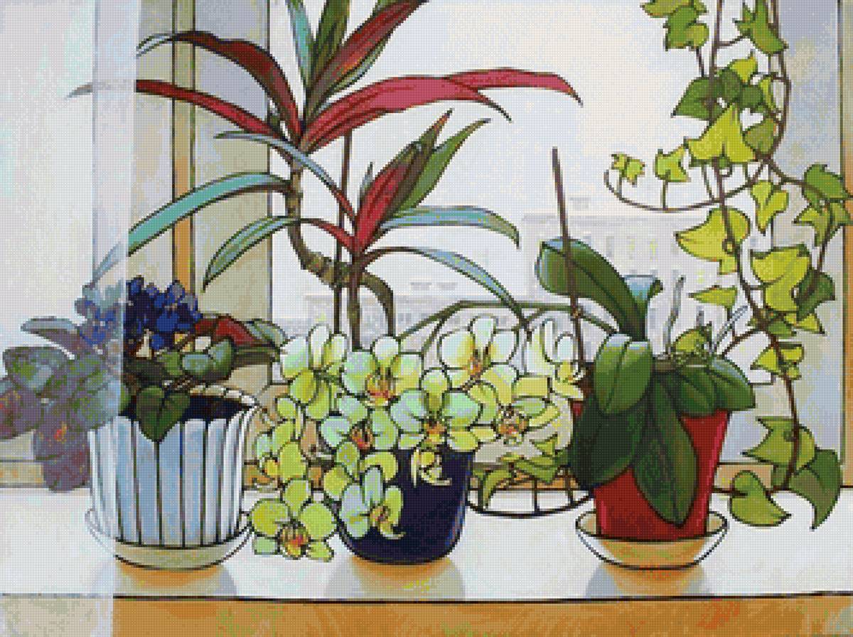 Цветочки на зимнем окошке 2 - город, зима, цветы, окно - предпросмотр