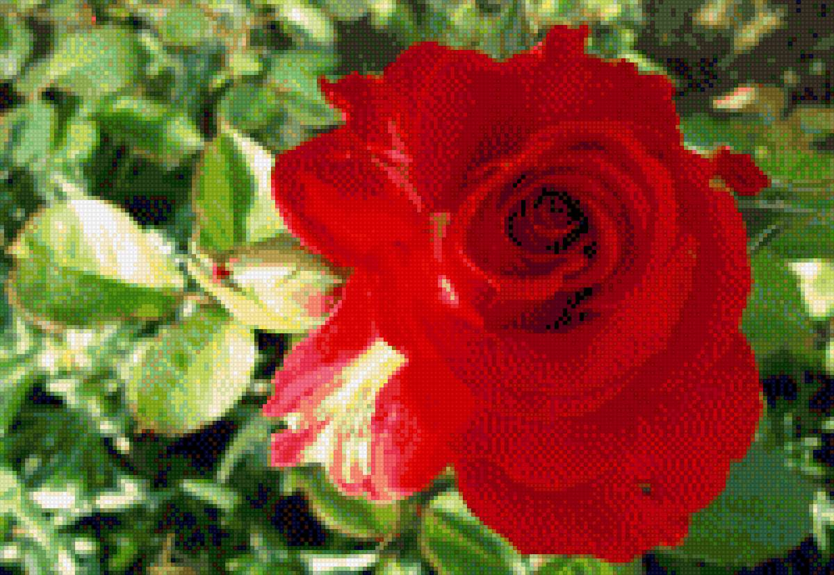 №1812175 - предпросмотр