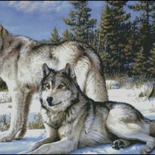 Схема вышивки «Волчья пара»