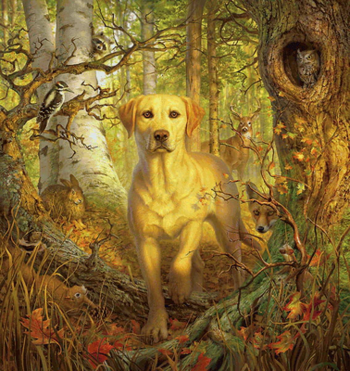 Серия "Собаки". - животные, собаки, природа - предпросмотр