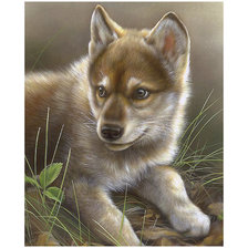 Схема вышивки «Серия "Хищники". Волчонок»