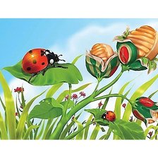 Схема вышивки «Детская»