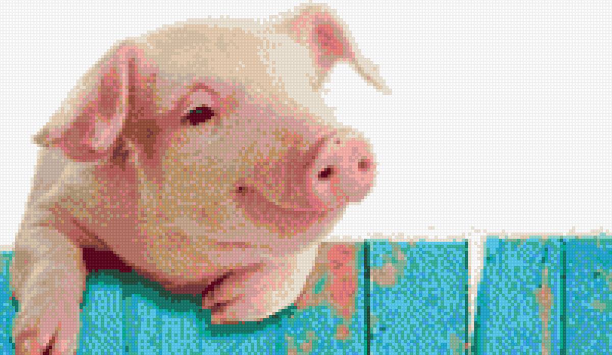 Поросенок на заборе - поросенок, свинка - предпросмотр