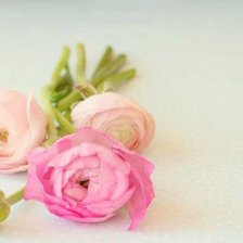 Схема вышивки «Ранункулюс»