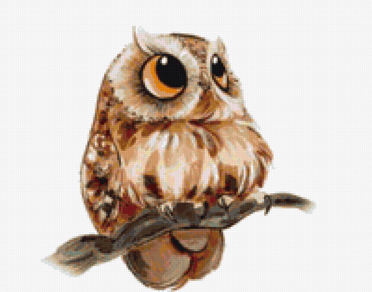 Совушка - картина - предпросмотр