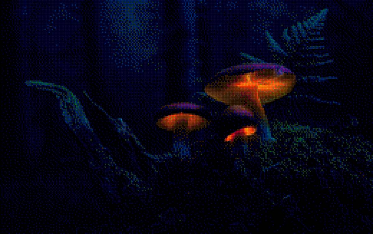 Грибы2 - грибы - предпросмотр