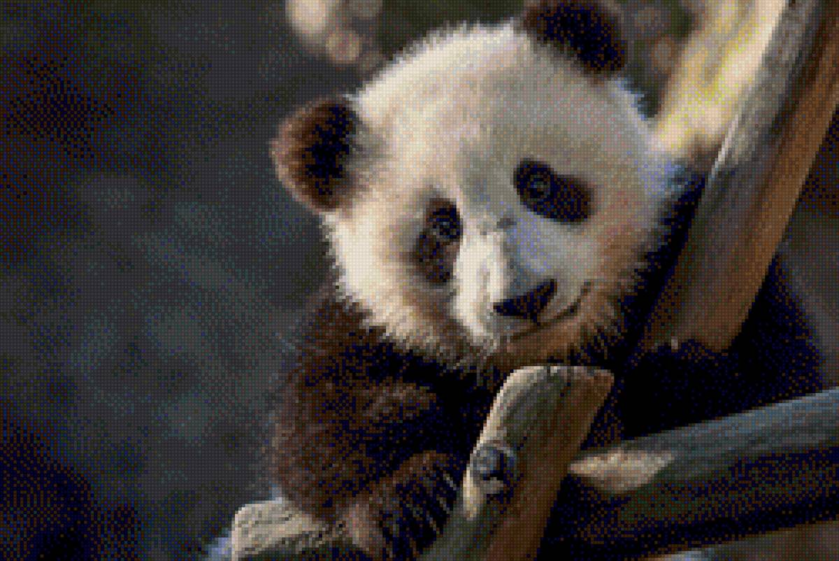 Панда - животные, панда - предпросмотр