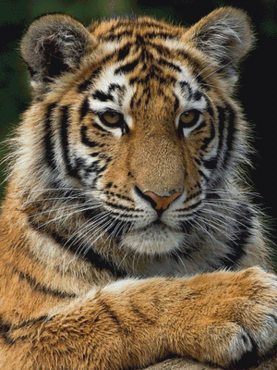 №1813354 - предпросмотр