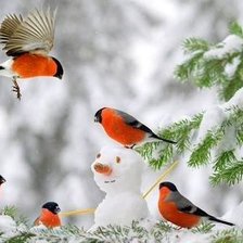 Схема вышивки «снегири»