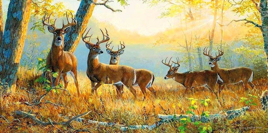 Олени осенью - оригинал