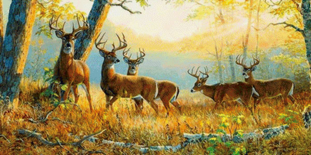 Олени осенью - предпросмотр