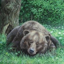 Схема вышивки «Сон медведя»