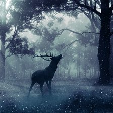 Схема вышивки «Ночной лес»