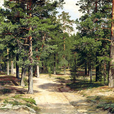 Худ. Шишкин И.И.