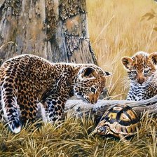 Схема вышивки «№1814528»